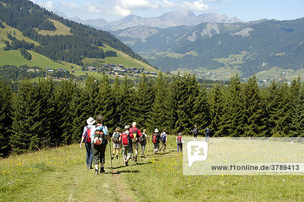 Gruppe wandert hintereinander im Gebirge über Gras bei Megeve Hochsavoyen Haute-Savoie Frankreich