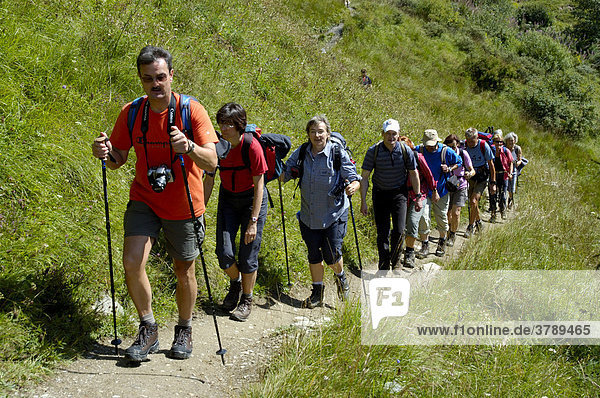 Hiking group one after another on a path crossing a grassy slope Haute-Savoie France
