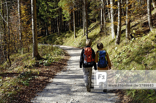Zwei Kinder  acht und zehn Jahre  wandern mit Rucksack durch den Wald im Herbst  Alpen  Österreich
