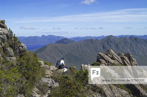 Rast am Kamm des Mt Wedge am Southwest Nationalpark in Tasmanien Australien