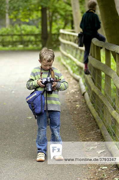 Zwei Jungen acht und zehn Jahre fotografieren in Zoo