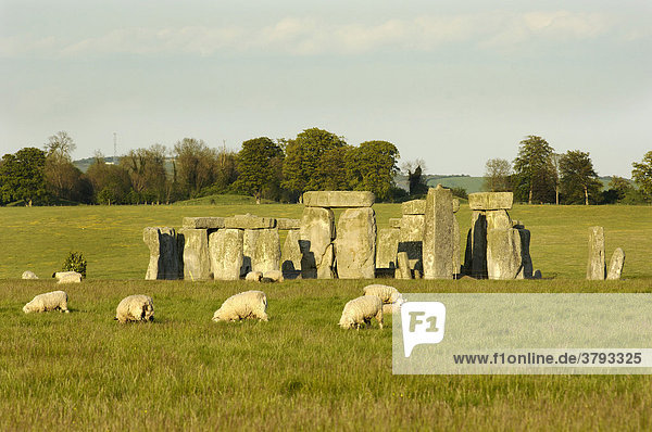Stonehenge Wessex England Großbritannien