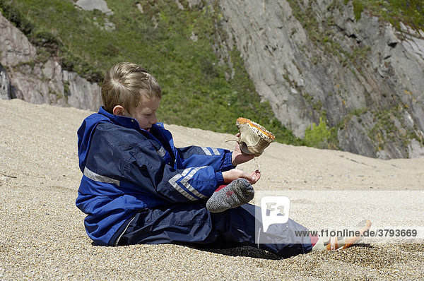 Boy shakong stones out of shoe in front of slate cliff at the beach Slapton Sands South Devon England
