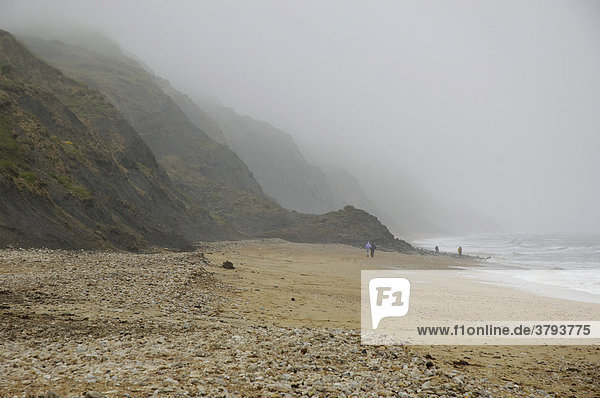 Jurassic Coast Klippen bei Charmouth nahe Lyme Regis Dorset East Devon Coast England