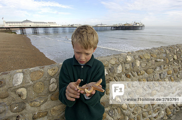 Junge mit Seestern vor dem Pier Brighton West Sussex England