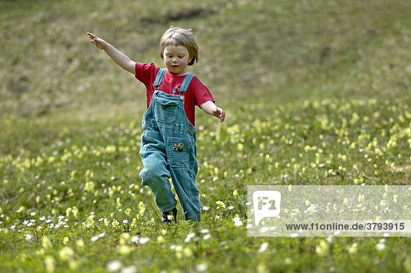 Ein dreijähriges Mädchen läuft Wiese hinunter im Frühling