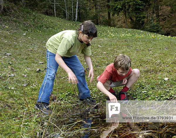 Kinder an kleinem Teich wollen einen Frosch fangen Bayern Deutschland