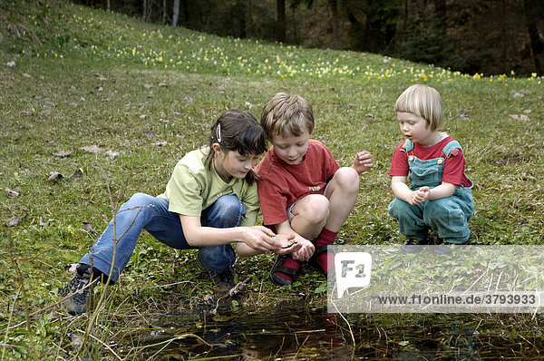 Children at a small pond have catched a newt Triturus alpestris Bavaria Germany