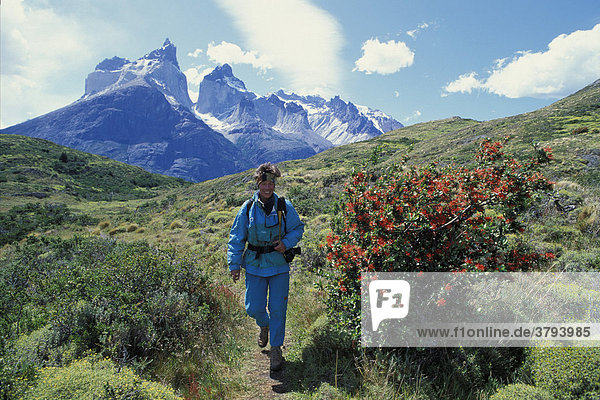 Hiker in Torres del Paine National Park South Chile