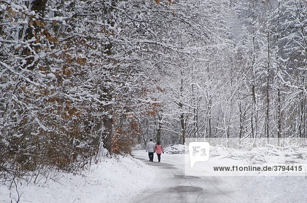 Walkers in snow covered forest Muehltal near Munich Germay