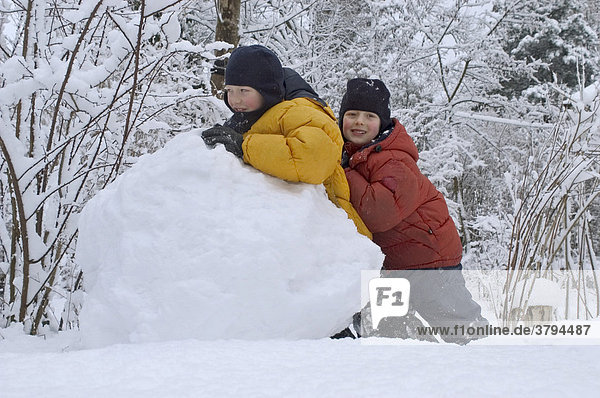 Zwei kleine Jungen 6 und 8 Jahre wälzen Schneekugel um einen Schneeman zu bauen