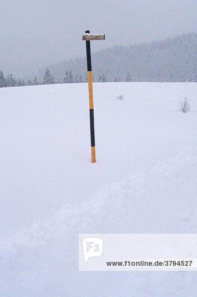 Straßenbegrenzungspfosten im Schnee auf der Winkelmoosalm bei Reit im Winkel Oberbayern Deutschland