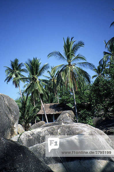 Felsen Palmen Hütte