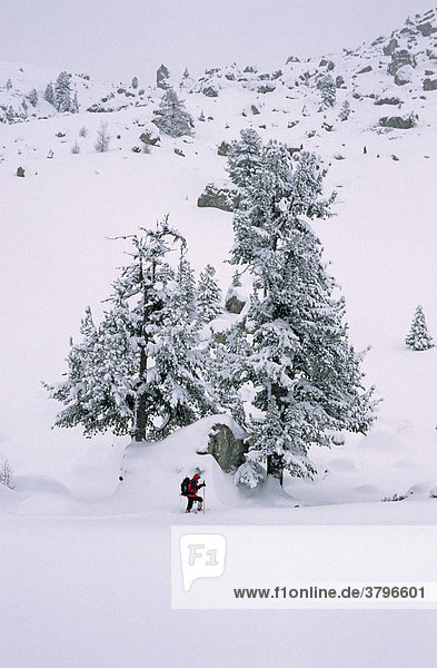 Schneeschuhgeherin im Valun Campestrin Dolomiten Italien