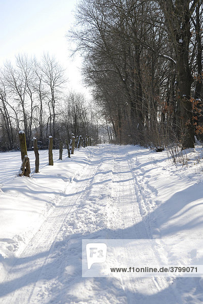 Path in winter landscape