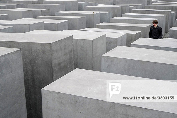 Germany  Berlin  Holocaust Memorial
