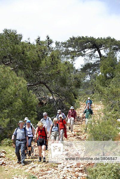 Hiking group on a stony forest path in Besparmak Pentadaktylos Mountains North Cyprus
