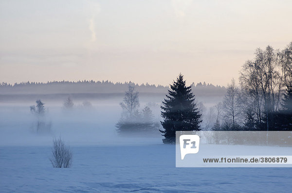 Sonnenaufgang mit Winterlandschaft und Nebel