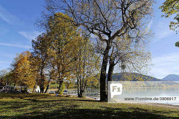 Tegernsee Oberbayern Bayern Deutschland bei Gmund