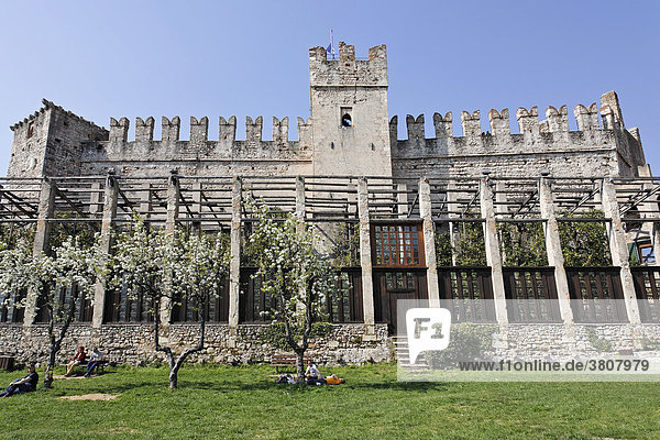 Zitronengewächshaus eine alte Limonaie vor der Burg  Torri del Benaco  Gardasee Italien