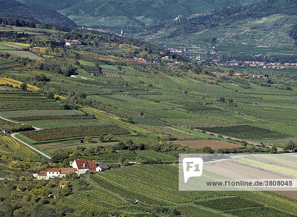 Blick vom Stift Göttweig auf eine Kellergasse inmitten von Weingärten im Hintergrund Dürnstein  Niederösterreich  Österreich