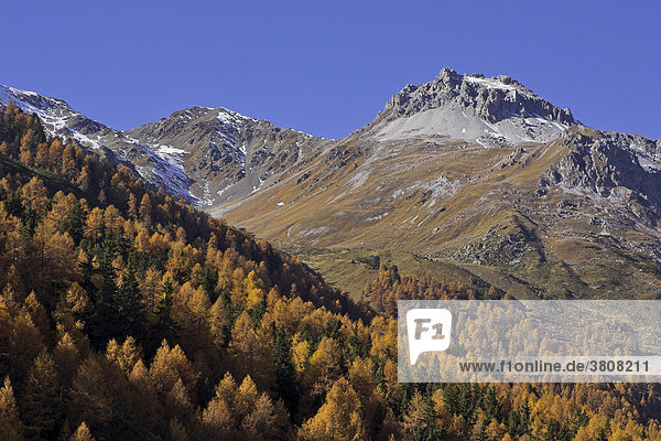 Wanderung zur Schlininger Alm Schliniger Tal Oberer Vinschgau Südtirol Italien