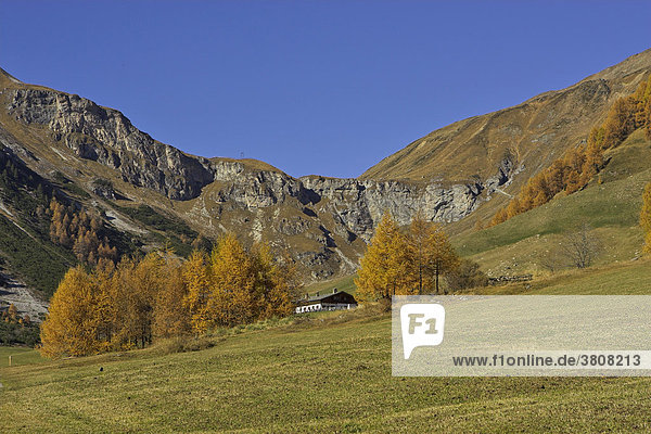 Wanderung zur Schlininger Alm  Schliniger Tal  Oberer Vinschgau  Südtirol  Italien