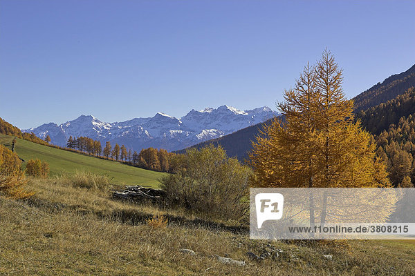 Berge des Saldurkamms Wanderung zur Schlininger Alm  Schliniger Tal  Oberer Vinschgau  Südtirol  Italien