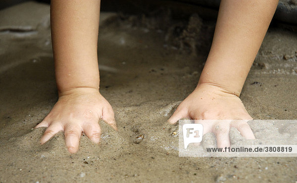Little hands playing with wet sand