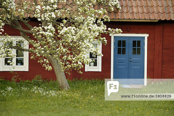 Wooden house on Oeland  Sweden