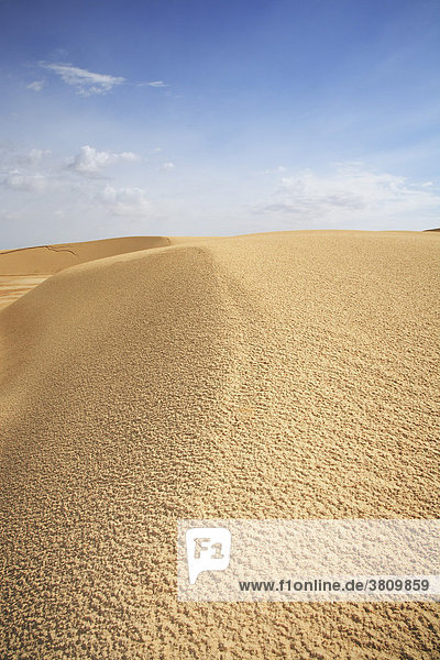 Sand dune in the Sahara  Tozeur  Tunisia
