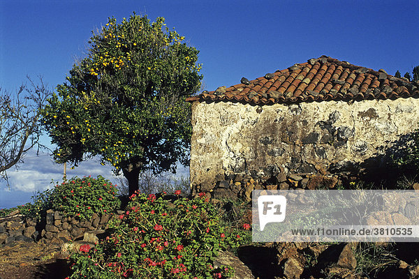 Haus in den Bergen  Insel La Palma  Kanarische Inseln  Spanien  Europa