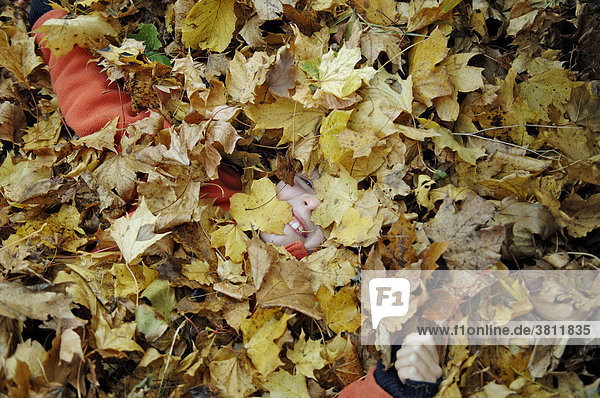 Neunjähriger Junge versteckt sich im Herbstaub