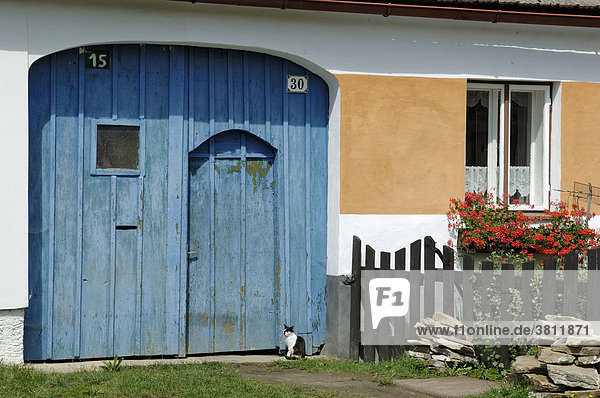 Blaues Tor mit Katze  Ort Zaluzi  Südböhmen  Böhmen  Tschechien