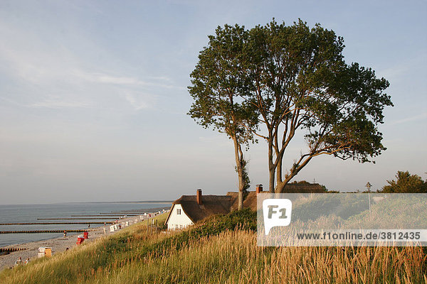 Haus auf einer Sanddüne an der Ostsee  Ahrenshoop  Fischland  Mecklenburg-Vorpommern  Deutschland