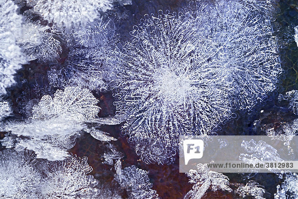 Delicate hoar frost crystals on a leaf
