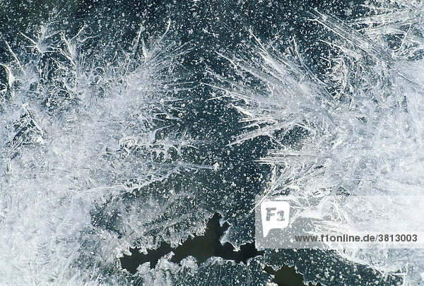 Detail of an ice floe