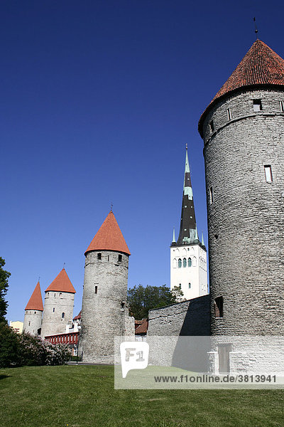 Teil der Stadtmauer  Tallinn  Estland