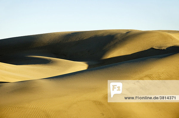 Sanddünen  Namib Wüste  Swakopmund  Namibia  Süd-West-Afrika  Afrika