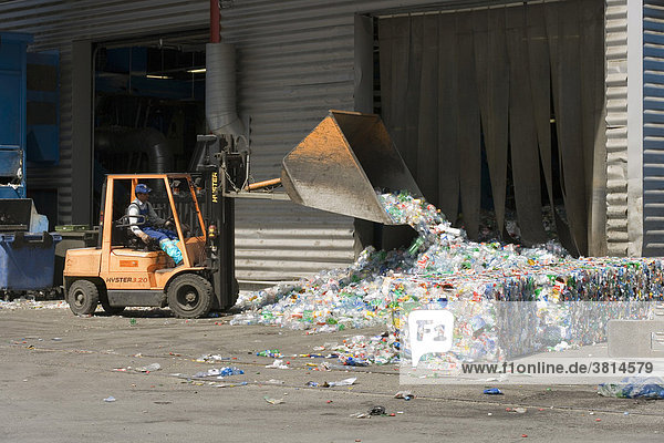 Delivered plastic bottles are being transported into the sorting station  where they are sorted by colours and compressed into bales