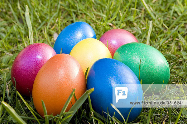 Coloured Easter eggs on a meadow