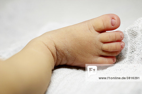 Foot of a newborn baby