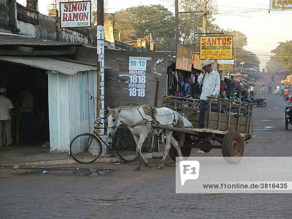 Landestypische Art des Warentransportes: Pferdewagen auf dem Markt von Concepcion  Paraguay