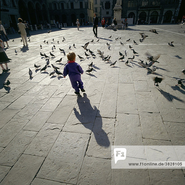 Child and pigeons  Lucca  Tuscany  Italy