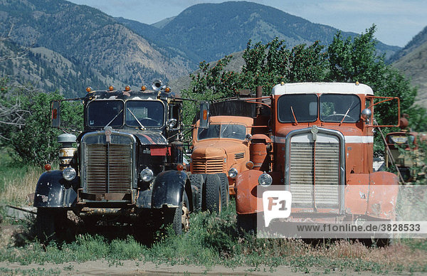 Old trucks Keremeos British Columbia Canada