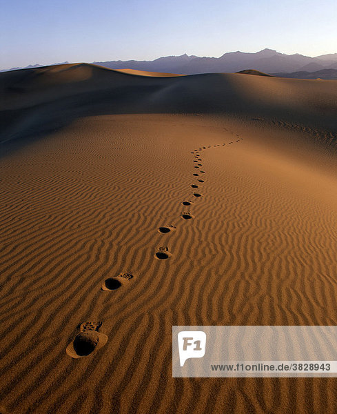 Fussspuren auf Sandduenen  Death Valley  Kalifornien  USA