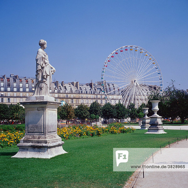 Tuilerien  Paris  Frankreich