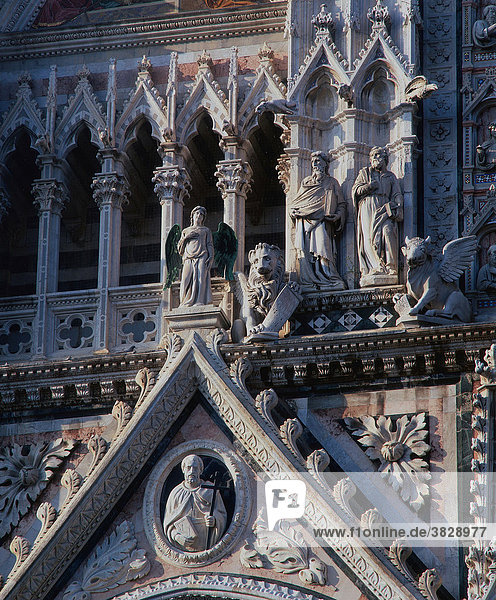 Deatail der Fassade der Kathedrale Santa Maria Assunta  Siena  Toskana  Italien