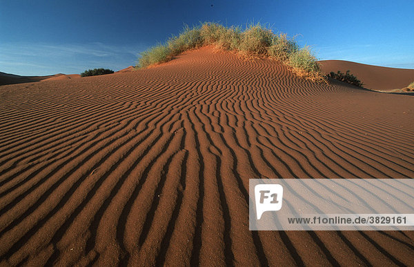 Sandstrukturen und Duene  Namib Naukluft Park  Namib-Wueste  Nambia