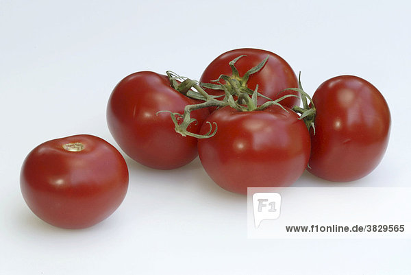 Rote Tomaten / (Solanum lycopersicum)